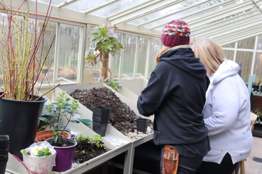 People gardening at Rhyddings Park